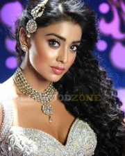 Actress Shriya Saran Hot Cleavage Pictures