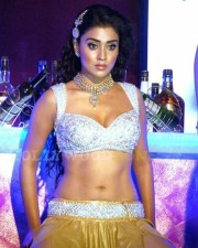 Actress Shriya Saran Hot Cleavage Pictures