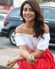 Actress Shriya Saran Interview Photos