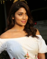 Actress Shriya Saran Interview Photos