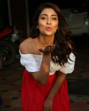 Actress Shriya Saran Interview Photos