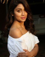 Actress Shriya Saran Interview Photos