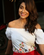 Actress Shriya Saran Interview Photos