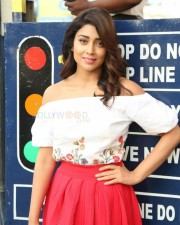 Actress Shriya Saran Interview Photos
