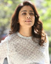 Actress Shriya Saran Interview Pictures