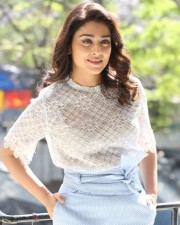 Actress Shriya Saran Interview Pictures