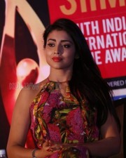 Actress Shriya Saran Latest Pictures
