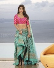 Actress Shriya Saran New Photoshoot Pictures