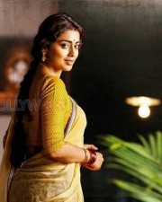 Actress Shriya Saran New Photoshoot Pictures