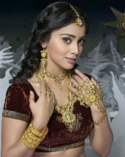 Actress Shriya Saran New Photoshoot Pictures