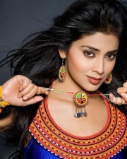 Actress Shriya Saran New Photoshoot Pictures