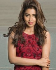 Actress Shriya Saran New Photoshoot Pictures