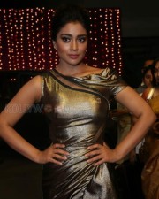 Actress Shriya Saran New Pictures