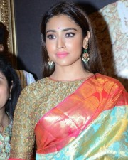 Actress Shriya Saran New Saree Photos