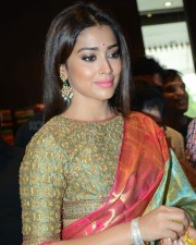Actress Shriya Saran New Saree Photos