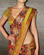 Actress Shriya Saran Saree Photos