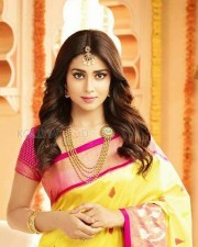 Actress Shriya Saran Saree Photos