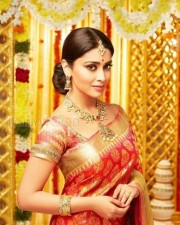 Actress Shriya Saran Saree Photos