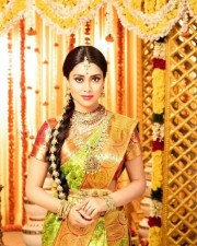 Actress Shriya Saran Saree Photos