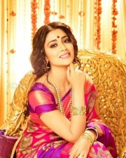 Actress Shriya Saran Saree Photos