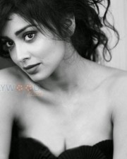Actress Shriya Saran Sexy Cleavage