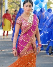 Actress Shriya Saran Sexy Stills