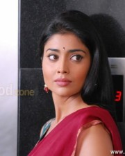 Actress Shriya Saran Sexy Stills