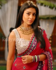 Actress Shriya Saran Sexy Stills