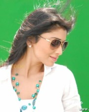 Actress Shriya Saran Sexy Stills