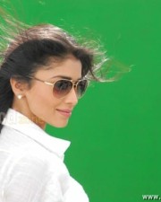 Actress Shriya Saran Sexy Stills