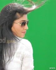 Actress Shriya Saran Sexy Stills