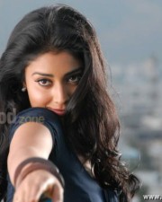 Actress Shriya Saran Sexy Stills