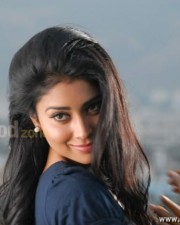 Actress Shriya Saran Sexy Stills