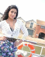 Actress Shriya Saran Stills