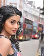 Actress Shriya Saran Stills