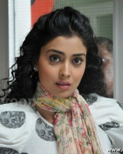 Actress Shriya Saran Stills