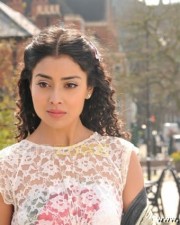 Actress Shriya Saran Stills