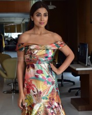 Actress Shriya Saran at Music School Interview Pictures 11