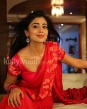 Actress Shriya Sexy Pictures