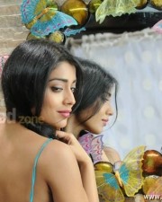 Actress Shriya Sexy Pictures