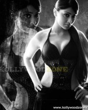 Actress Shriya Sexy Stills