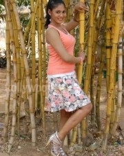 Actress Shruthi Reddy Pictures