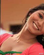 Actress Shruthi Reddy Sexy Photos