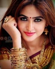 Actress Sony Charishta Beautiful Saree Photos