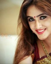 Actress Sony Charishta Beautiful Saree Photos