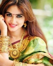 Actress Sony Charishta Beautiful Saree Photos