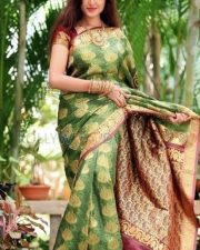 Actress Sony Charishta Beautiful Saree Photos