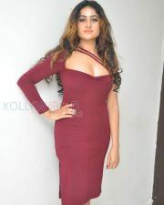 Actress Sony Charishta Birthday Photos
