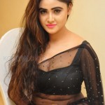 Sony Charishta 24 Actress Sony Charishta Hot And Sexy Black Saree Photos