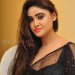 Sony Charishta 20 Actress Sony Charishta Hot And Sexy Black Saree Photos
